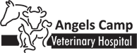 Angels Camp