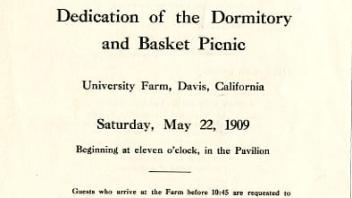 FirstPicnicDay.jpg