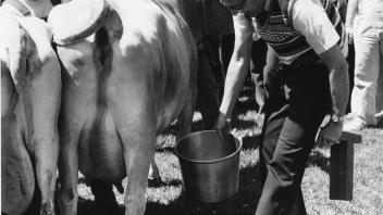 Cow Milking, Chancellor James Meyer, 1975.jpg