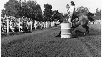 Horse show, 1961.jpg