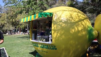 lemonade
