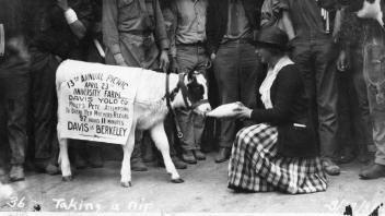 Molly’s Pete attempting to break her mother’s record of 97 hours and 11 minutes from Davis to Berkeley, 1921.jpg