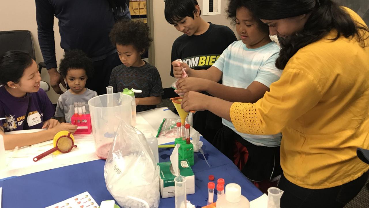 DNA Extraction from Strawberries Activity