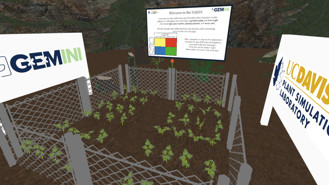 Explore Crop Performance in 3D Virtual Reality