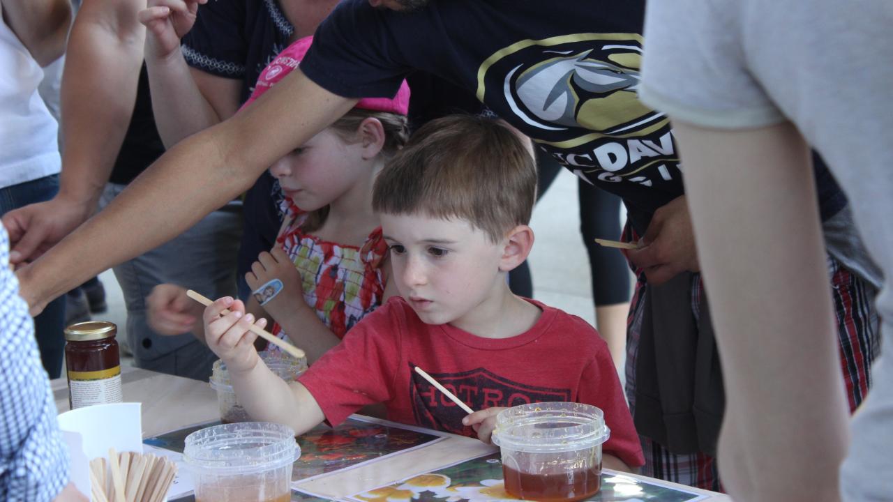 Honey Tasting Booth