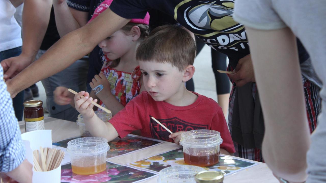 Honey Tasting Booth