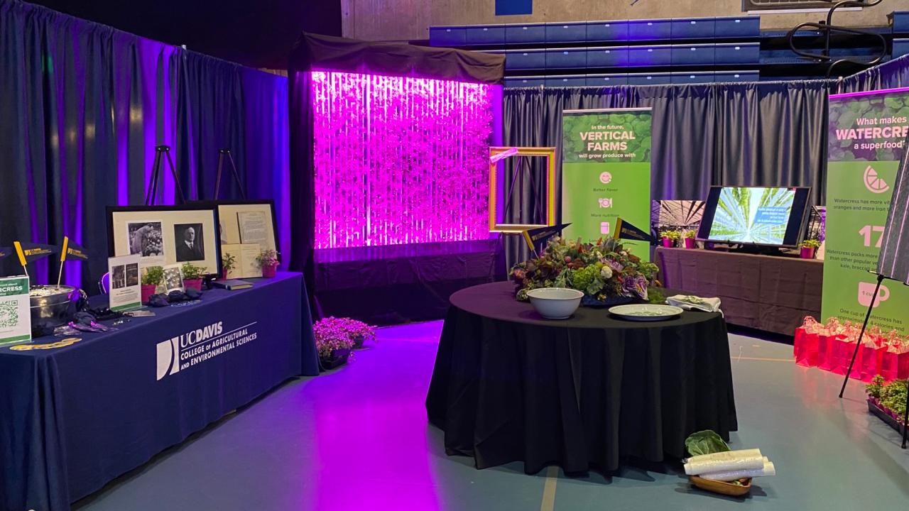 Wonderful Watercress Booth
