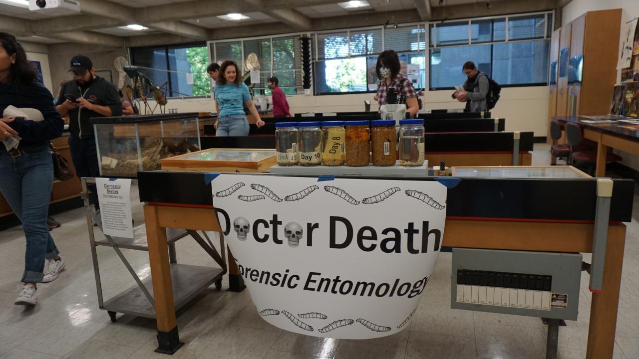 Doctor Death