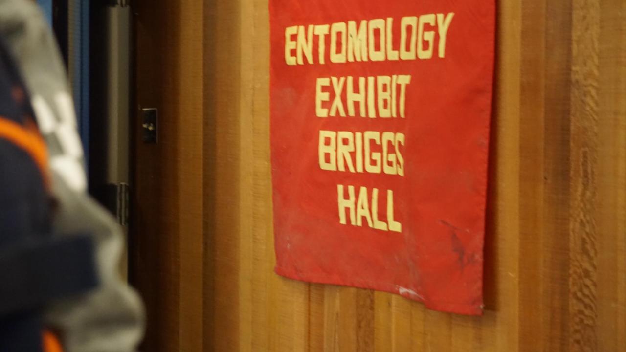Entomology at UC Davis