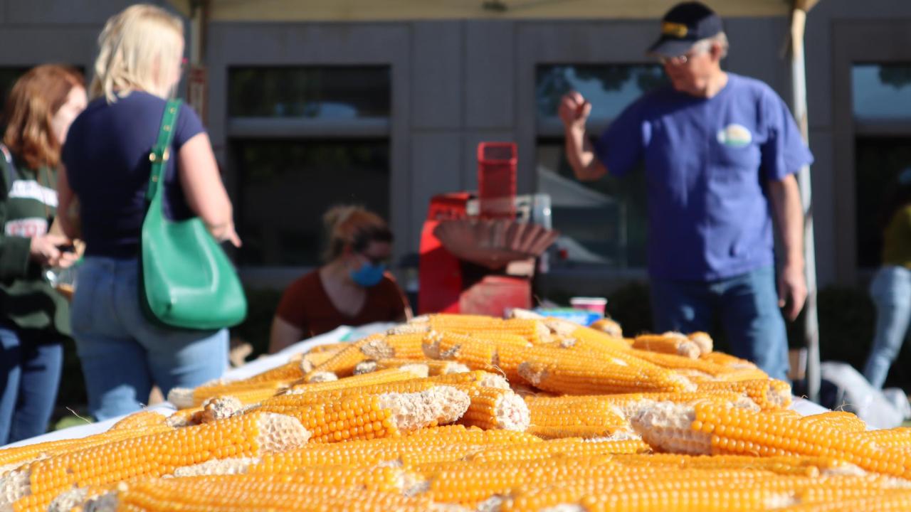 Popcorn Shelling