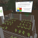 Explore Crop Performance in 3D Virtual Reality