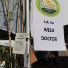 weed doctor